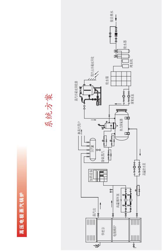 高压电极蒸汽锅炉2.jpg
